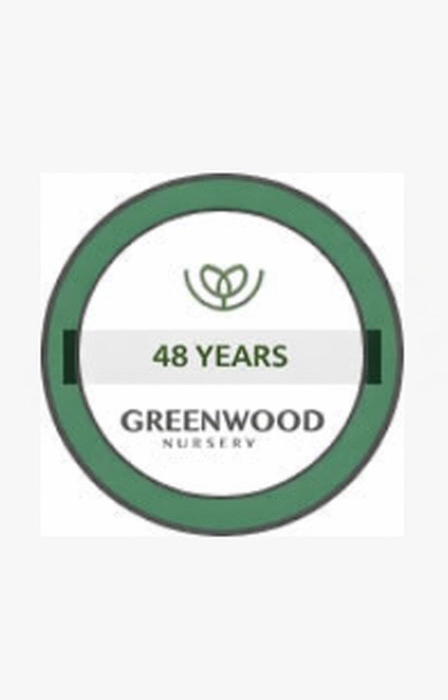 Greenwood Nursery