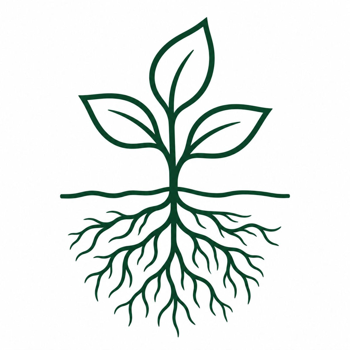 Sprouting plant illustration showing robust, healthy underground root systems