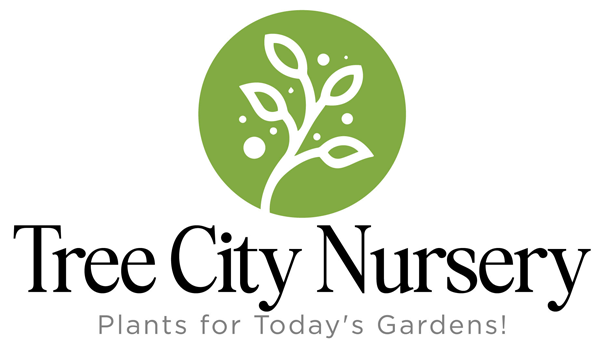 Tree City Nursery Logo