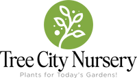 Tree City Nursery