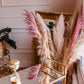 Pink Pampas Grass Pint Image 3